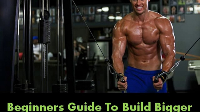 Beginners Guide To Build Bigger Chest