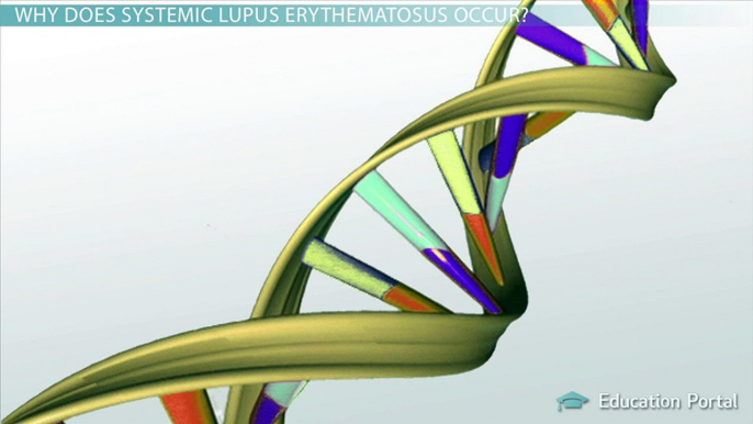 Systemic Lupus Erythematosus (SLE)- Causes, Signs & Treatments - Video & Lesson Transcript - Study.com