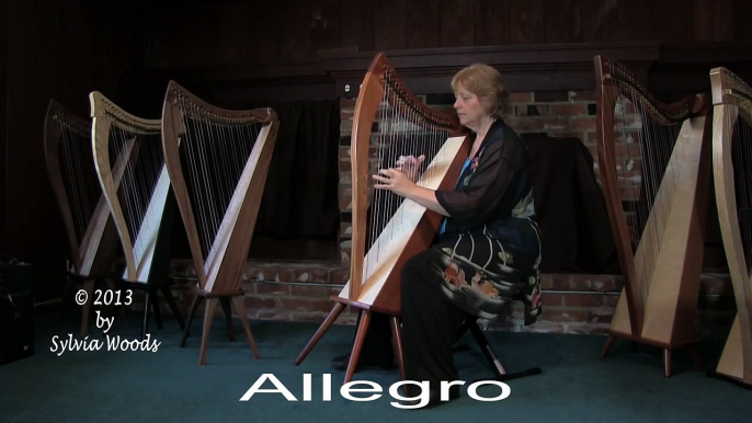 Dusty Strings Allegro-26 Harp