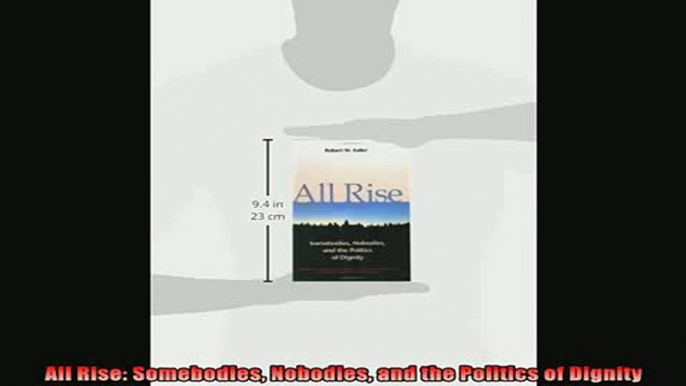 READ book  All Rise Somebodies Nobodies and the Politics of Dignity Free Online