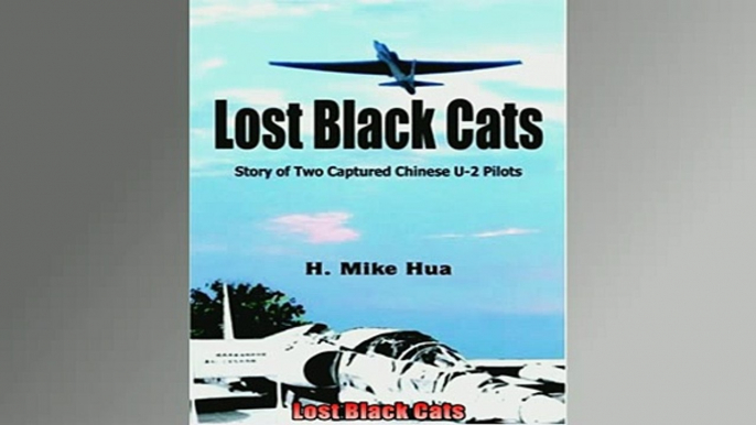 Free book  Lost Black Cats