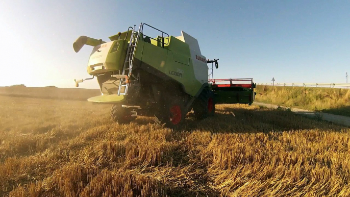 Moisson 2013 - Claas lexion 750 au coucher du soleil