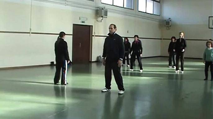 CORSI DI TAI CHI E QI GONG A ROMA QI GONG 1: ESERCIZI DI SCIOGLIMENTO ED ATTIVAZIONE ENERG