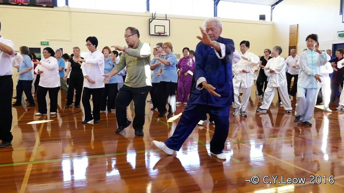 2016 WORLD TAI CHI AND QIGONG DAY, Wellington, NZ-TAI CHI 24 FORM YANG STYLE