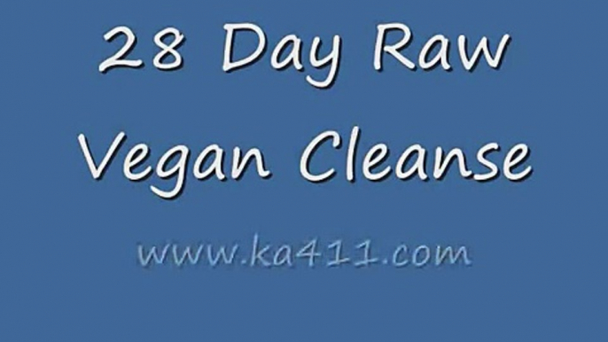 28 day Raw Vegan Cleanse 0001