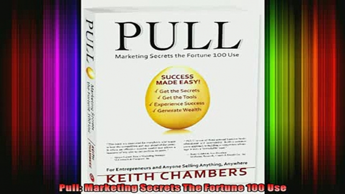 READ book  Pull Marketing Secrets The Fortune 100 Use Free Online