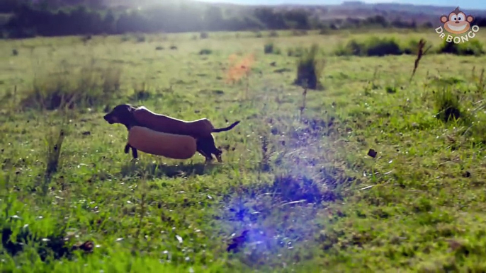 Heinz commercial 'Wiener Stampede' @ Dr Bongo