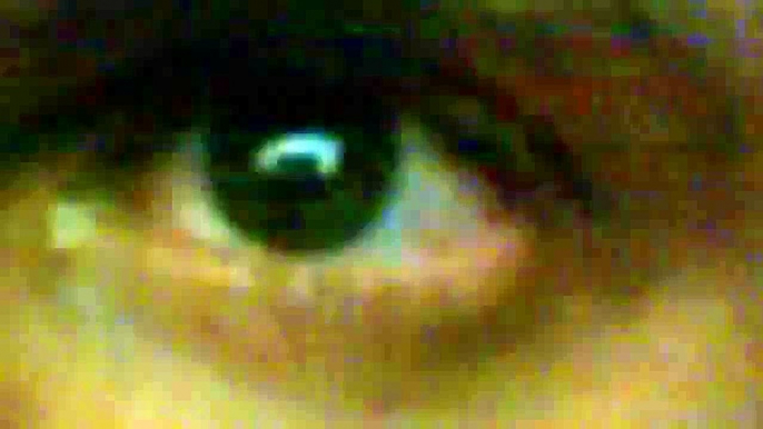 DarthM4lak's webcam video December 17, 2010, 05:27 PM
