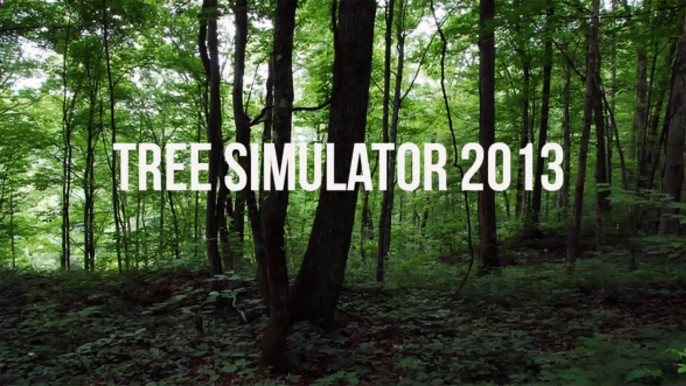 *Vi Testar* - Tree Simulator 2013