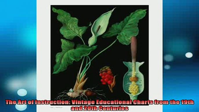 READ book  The Art of Instruction Vintage Educational Charts from the 19th and 20th Centuries  FREE BOOOK ONLINE