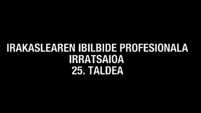 Irakaslearen ibilbide profesionala 25. taldea