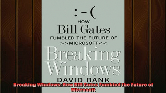 READ book  Breaking Windows How Bill Gates Fumbled the Future of Microsoft  BOOK ONLINE