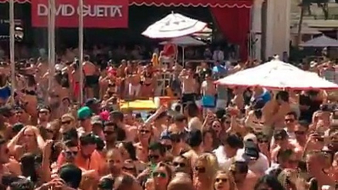 David Guetta Encore Beach Club, David Guetta first Facebook Live ever