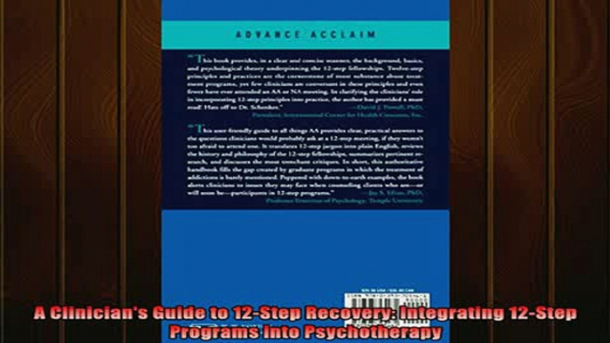 READ book  A Clinicians Guide to 12Step Recovery Integrating 12Step Programs into Psychotherapy Free Online