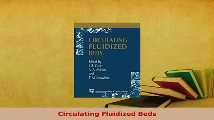 PDF  Circulating Fluidized Beds Ebook