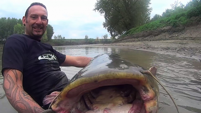 Combat intense avec un monstre d'eau douce : le plus gros poisson chat du monde