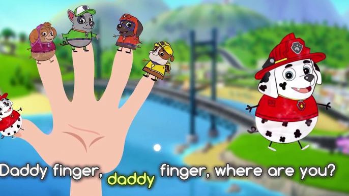 Peppa Pig Minions Finger Family \ Nursery Rhymes Lyrics - Paw Patrol Finger Family