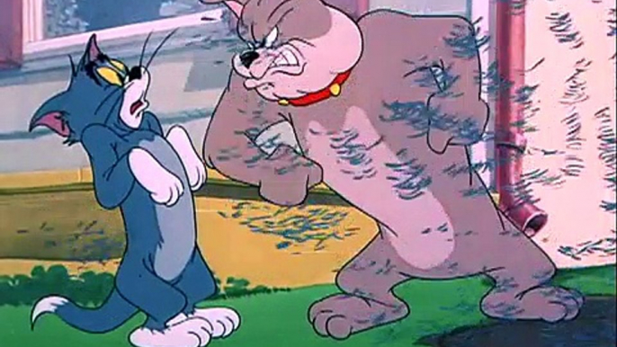 Tom And Jerry, ep 60 - Slicked Up Pup (1951)