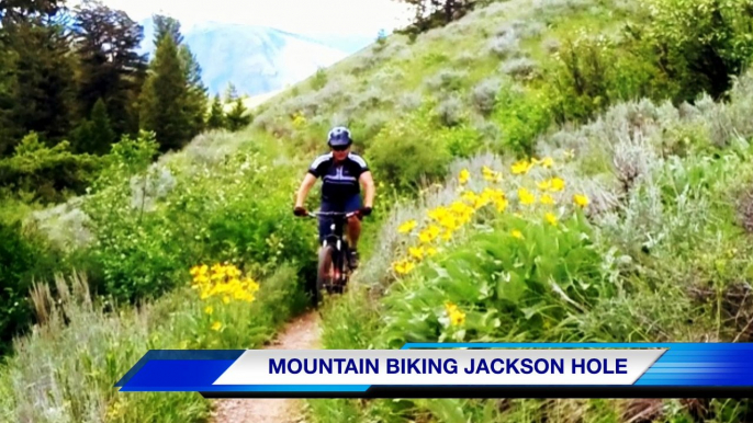 Best Jackson Hole Mountain Biking | TRAILSOURCE™