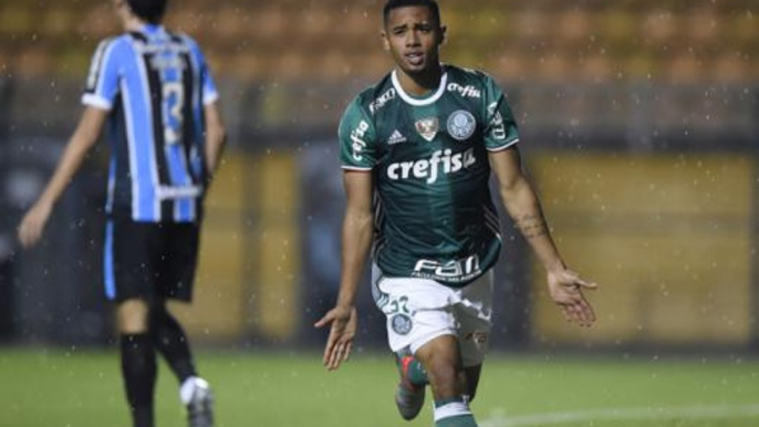 Eletrizante! Palmeiras vence o Grêmio em jogo emocionante no Pacaembu