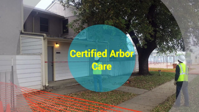 Tree Service Round Rock TX - Certified Arbor Care (512) 671-8733