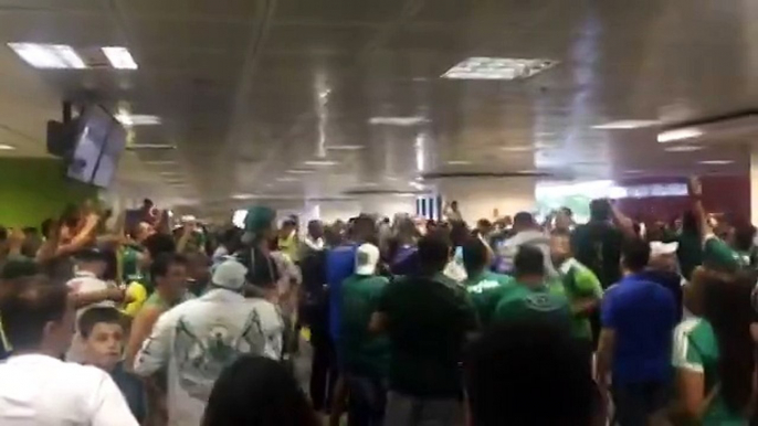 Palmeiras é recebido com festa em Brasília