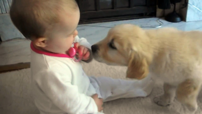 Baby and Puppy meet for the first time!