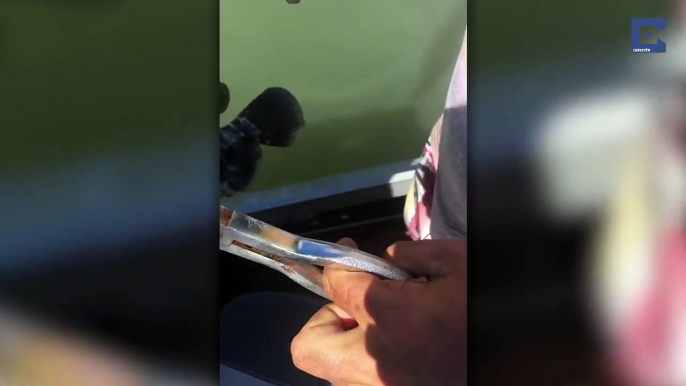 Guy Finds Terrifying Surprise Inside A Fish He Caught