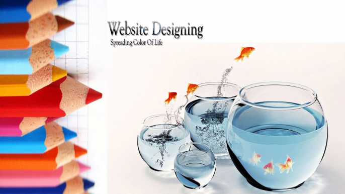 Career Drudge Technologies - Website Design Company in noida