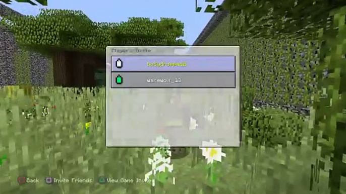 Minecraft hide n seek|#1