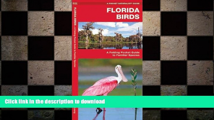 READ  Florida Birds: A Folding Pocket Guide to Familiar Species (Pocket Naturalist Guide Series)