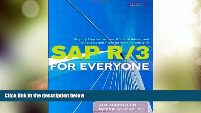 Big Deals  SAP R/3 for Everyone: Step-by-Step Instructions, Practical Advice, and Other Tips and