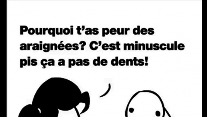 POURQUOI T’AS PEUR DES ARAIGNÉES?