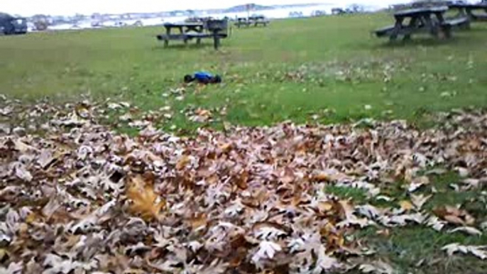 RC Crawler Driving Through Leafs