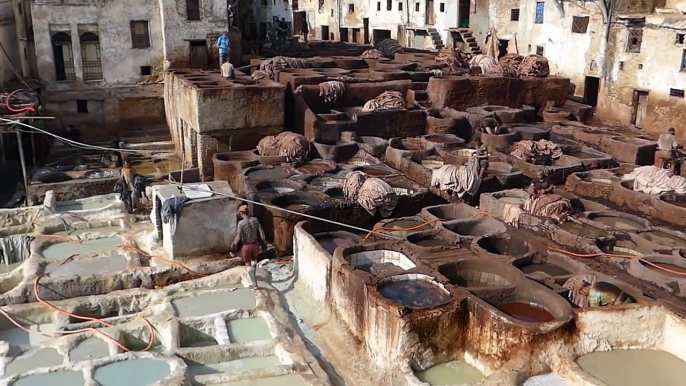 fes tanneries morocco 2013