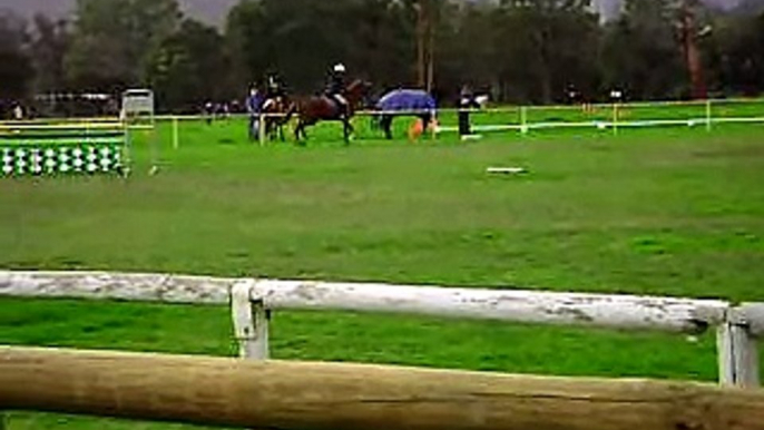 Oops.... Horse Jumping..