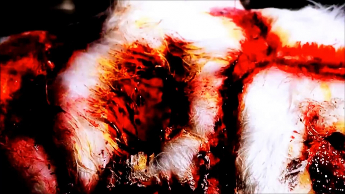 Cattle Decapitation 'Clandestine Ways (Krokodil Rot)' (OFFICIAL VIDEO   CENSORED)[1]