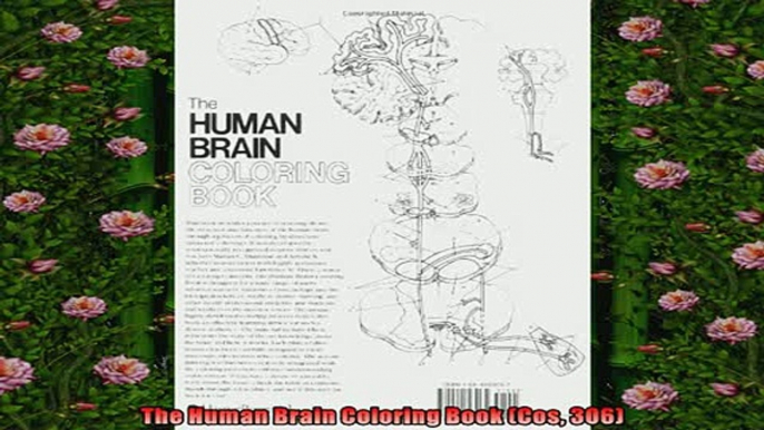 Free PDF Downlaod  The Human Brain Coloring Book Cos 306  BOOK ONLINE