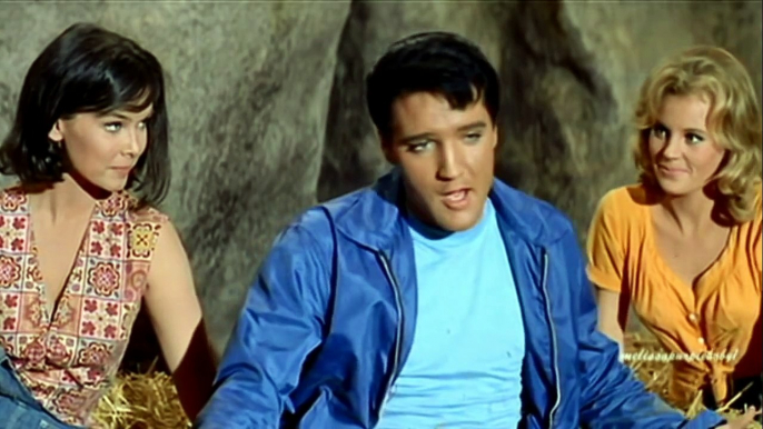 Elvis Presley - THERE'S GOLD IN THE MOUNTAINS