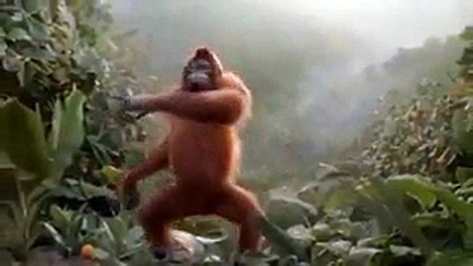 Ye kar k Dikhao pher ye pher ye Funny Monkey video