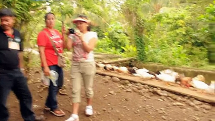 Natural Farming Visit to Balik Bukid- Calinan,Davao City ( June 28, 2013 ) 6th Part