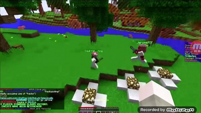 Song minecraft