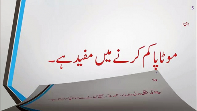 7 Weight Loss Tips in Urdu موٹاپا کم کرنے کیں سات آسان طریقے by Weight Loss Strategies