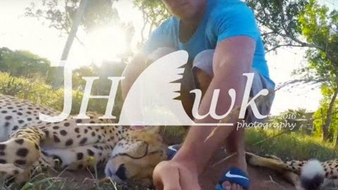 Vlogger Spends Time Relaxing With Cheetahs in South Africa