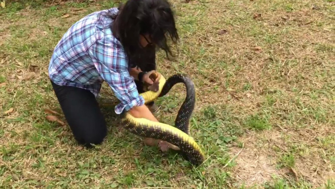 Une femme saute et plaque sur un serpent de 2 mètres