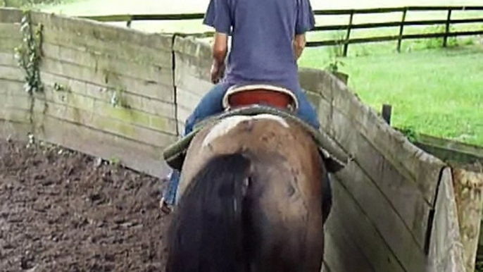 Starting Data under saddle, ride 25, 1st ride under western saddle pt2