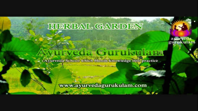 Ayurvedic Medicinal Plants Farming | Ayurveda Gurukulam, Kerala