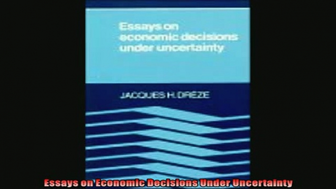 Enjoyed read  Essays on Economic Decisions Under Uncertainty