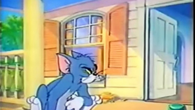 tom and jerry punjabi fighting funny punjabi song 2009 punjabi cartoon