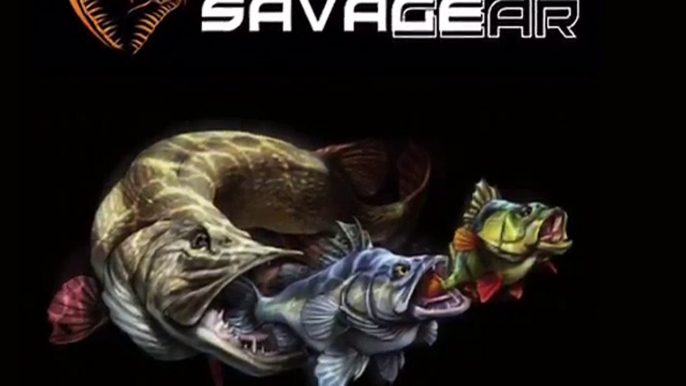 SavageGear Line Thru 20 cm MS rainbow trout.